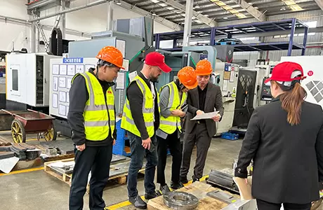 التدقيق الميداني لـ VEM